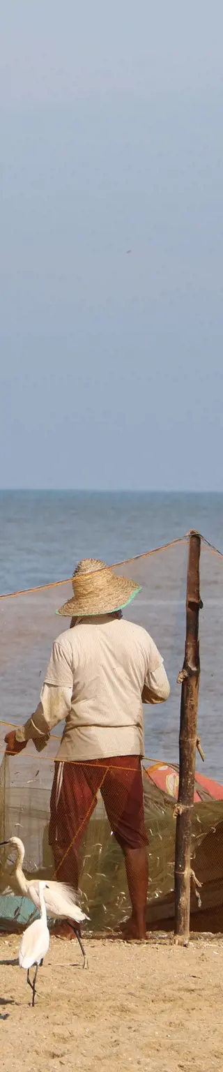 Erlebe das bunte Hafenleben